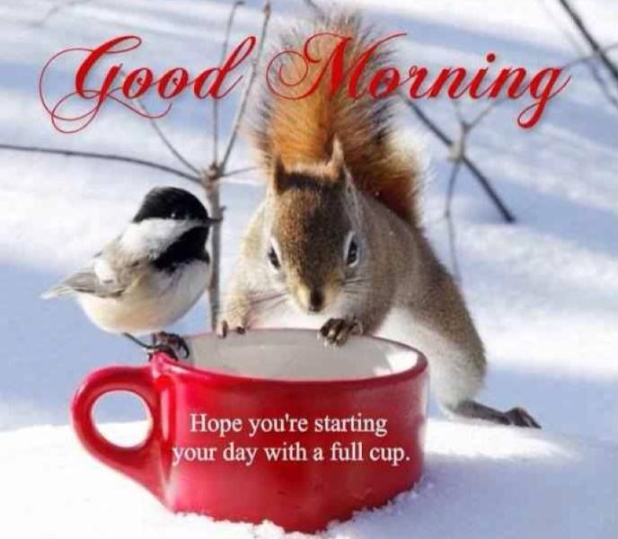 Good Morning Winter Images With Quotes