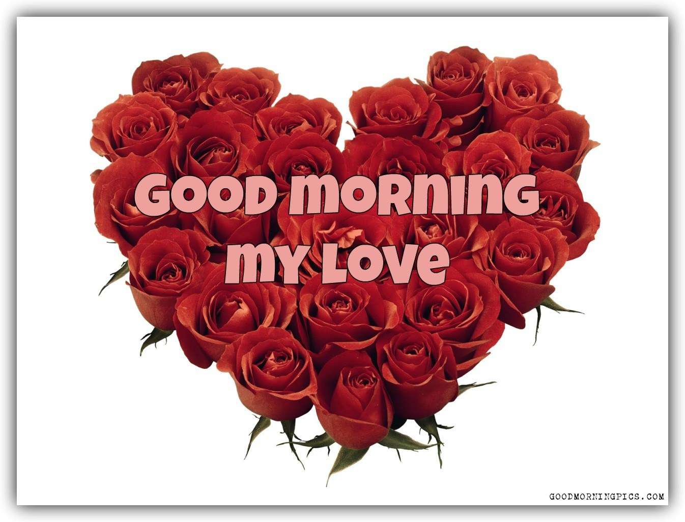 Good Morning Heart Rose Images