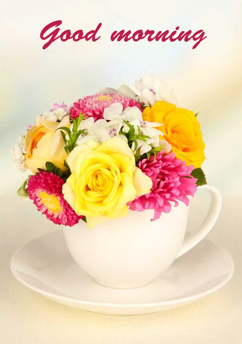 Good Morning Images For WhatsApp Free Download With Flowers