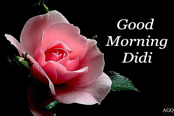 Good Morning Didi Images For WhatsApp