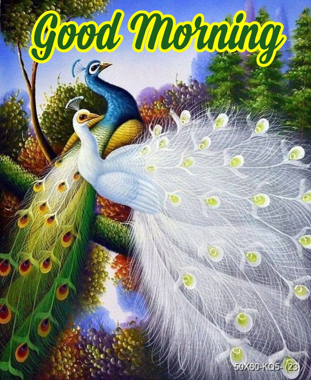 Good Morning Peacock Images WIth Quotes