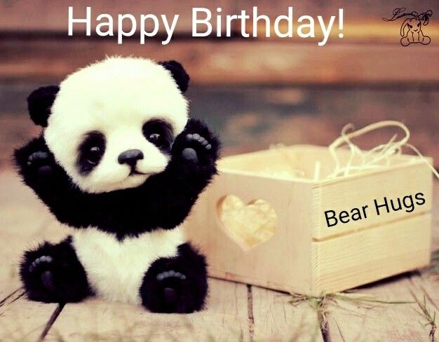 Happy Birthday Panda Meme