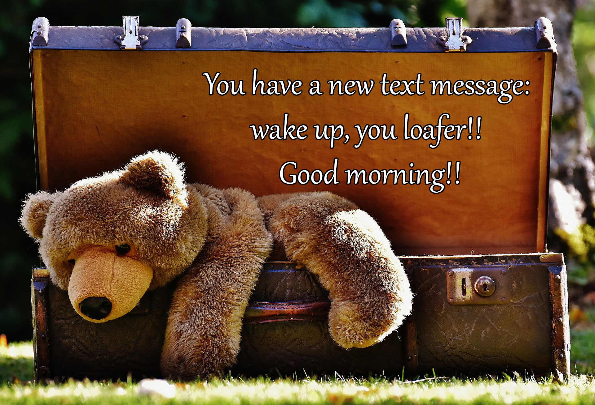 Funny Good Morning Images With Quotes