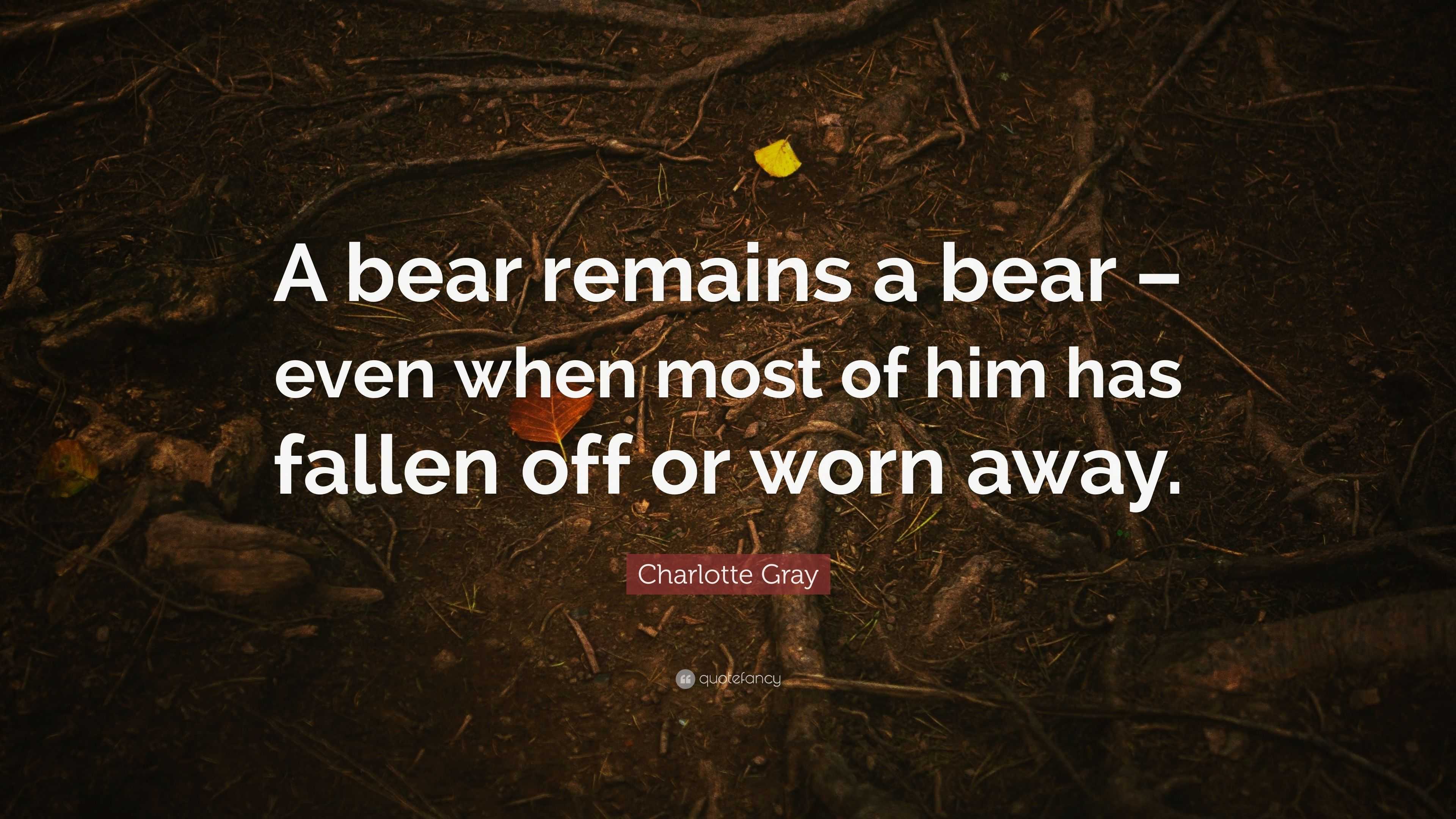A bear remains a bear – even when most of him has fallen off or worn away.