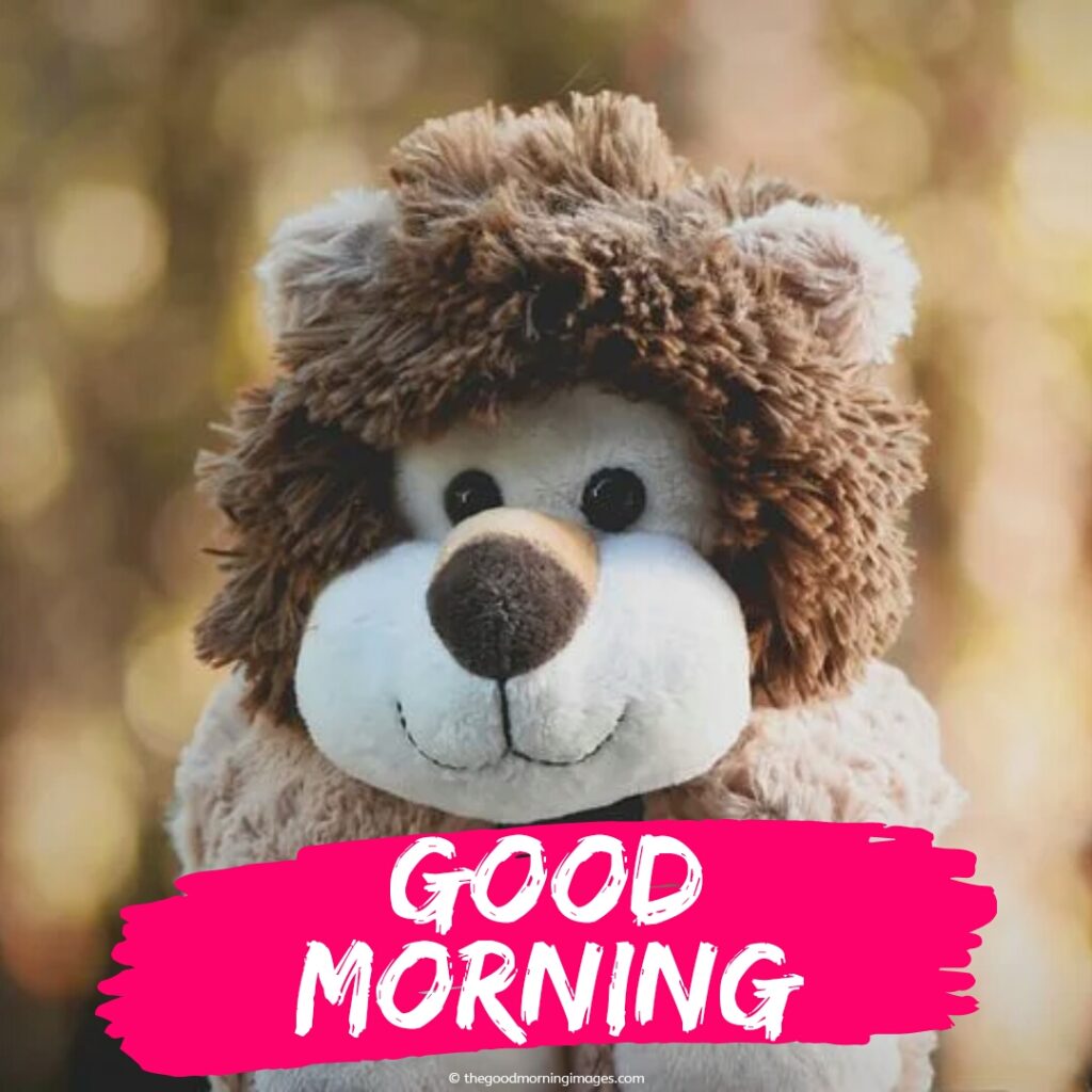 Good Morning Teddy Bear