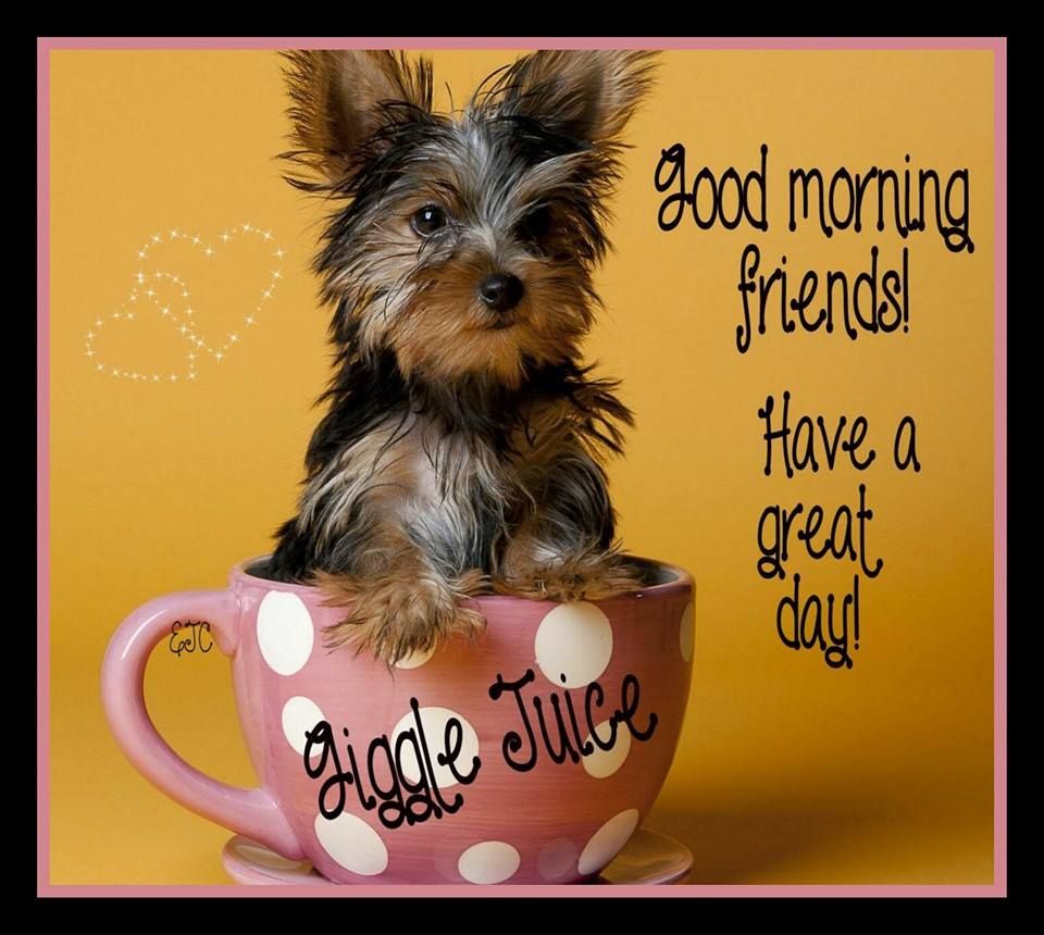 Funny Good Morning Images For Friends