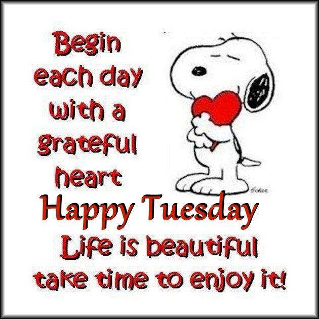 Snoopy Tuesday Images And Quotes