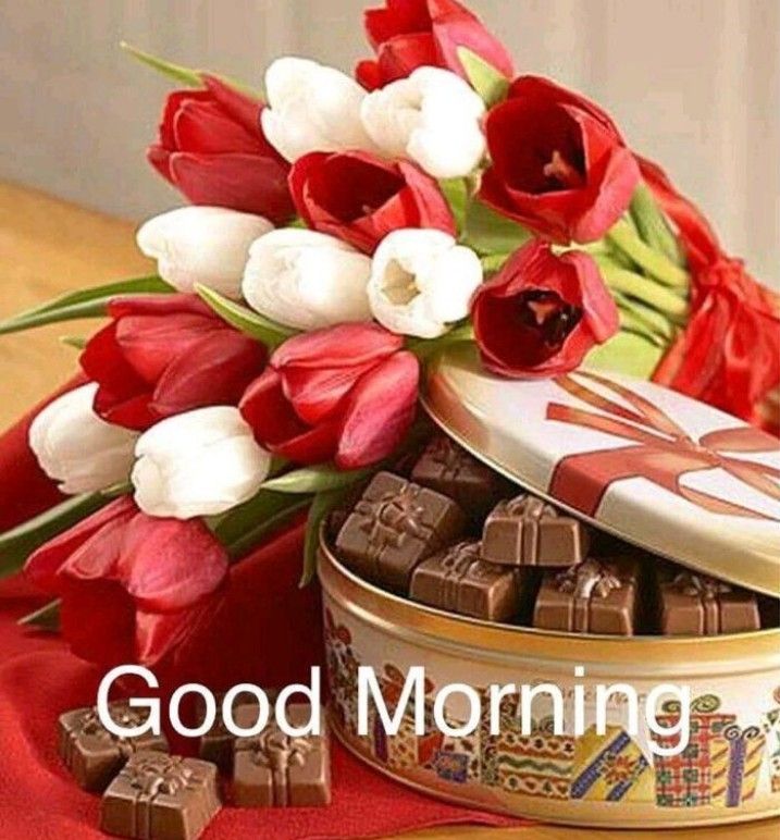 Good Morning Chocolate Images For Lovers