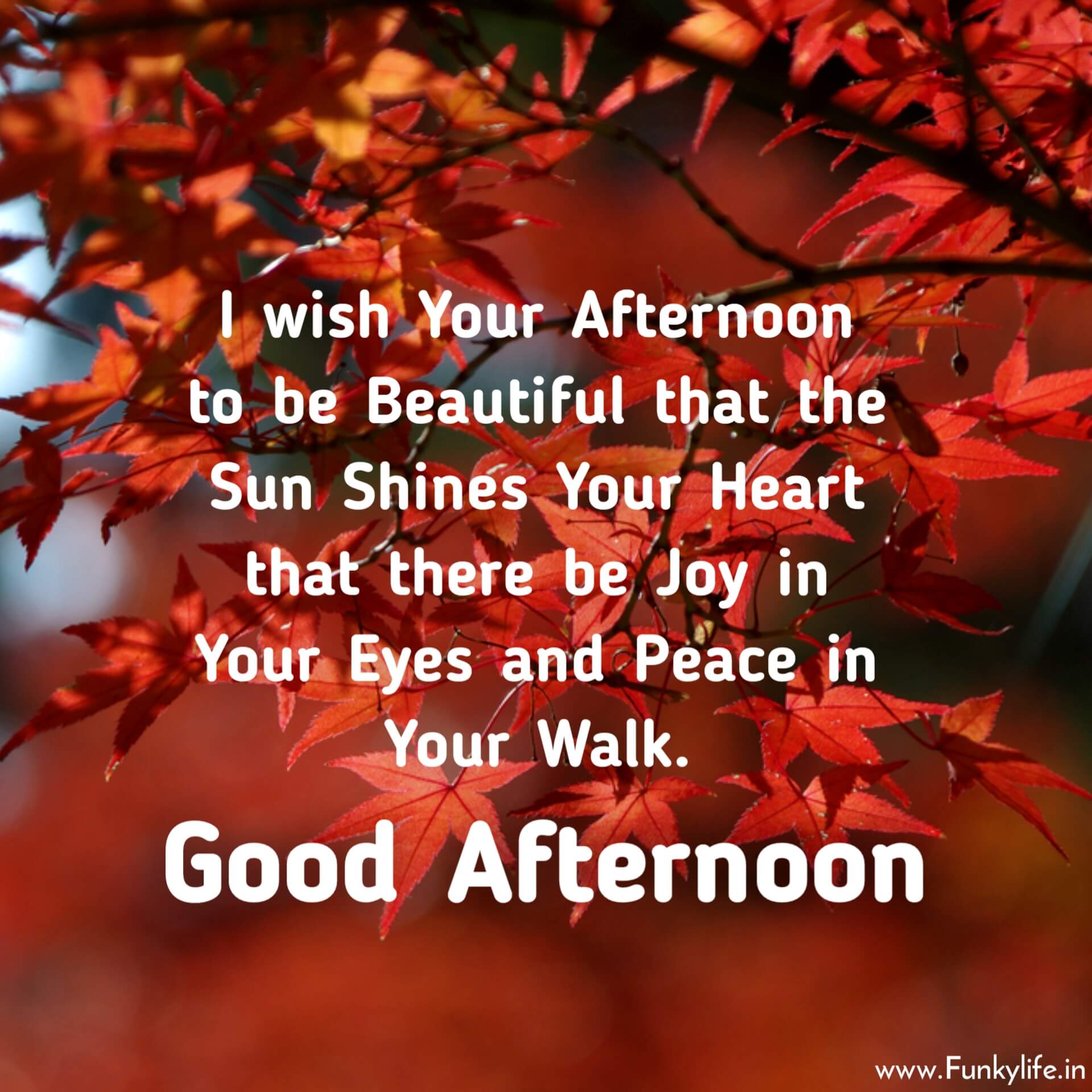 Good Afternoon Quotes For Friends With Pics