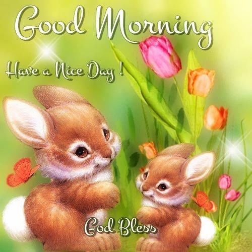 Funny Good Morning Honey Bunny Images
