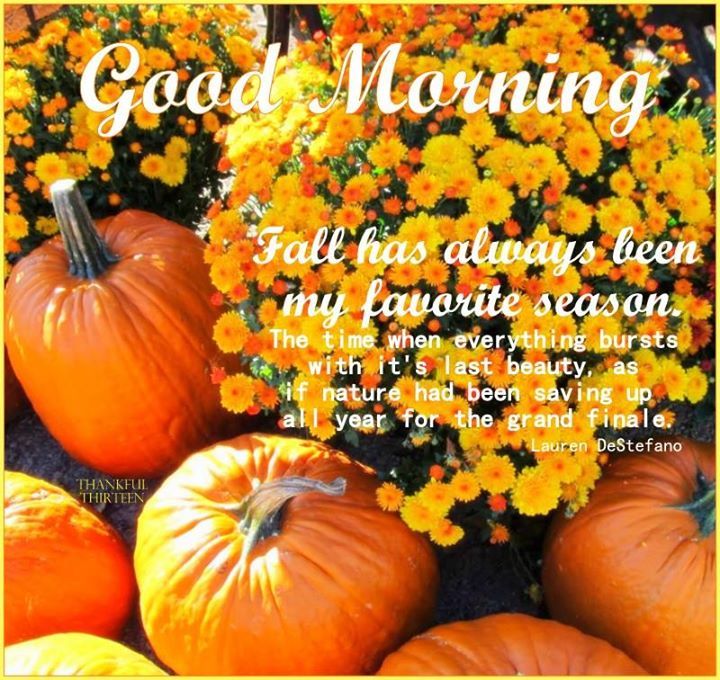 Good Morning Autumn Leaves Quotes