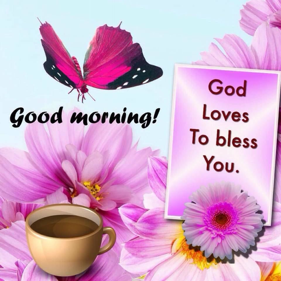 Good Morning God Bless Your Day Quotes