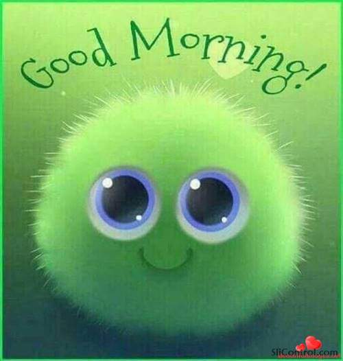 Funny Good Morning Messages For Friends With Images