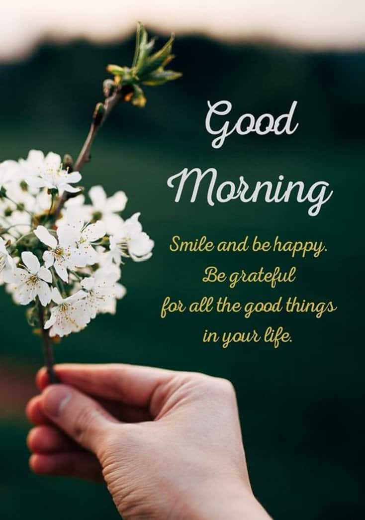 Funny Good Morning Messages For A Female Friends With Pictures