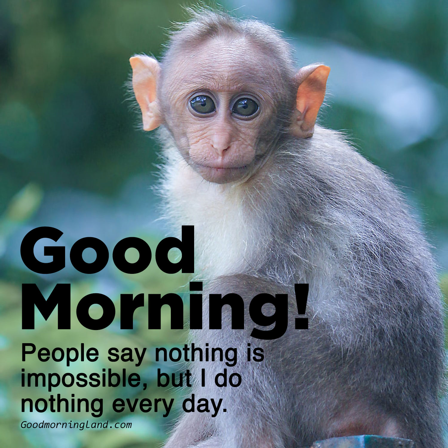 Funny Good Morning Messages For A Female Friends With Pictures