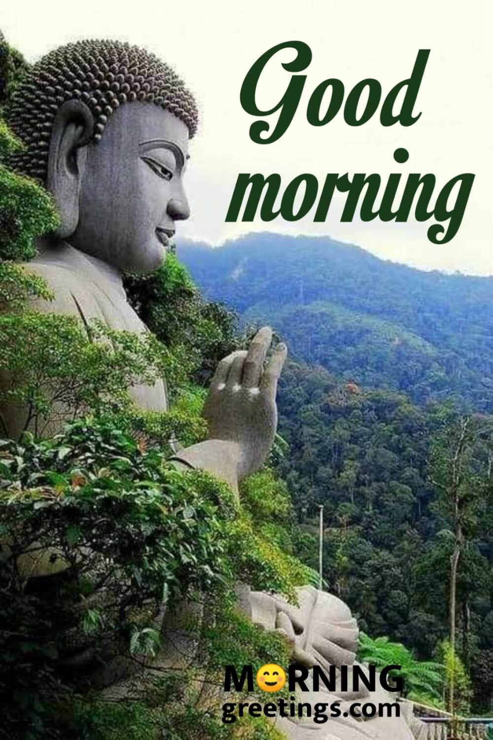 Good Morning Buddha Images