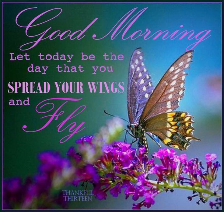 Good Morning Butterfly Quotes Images