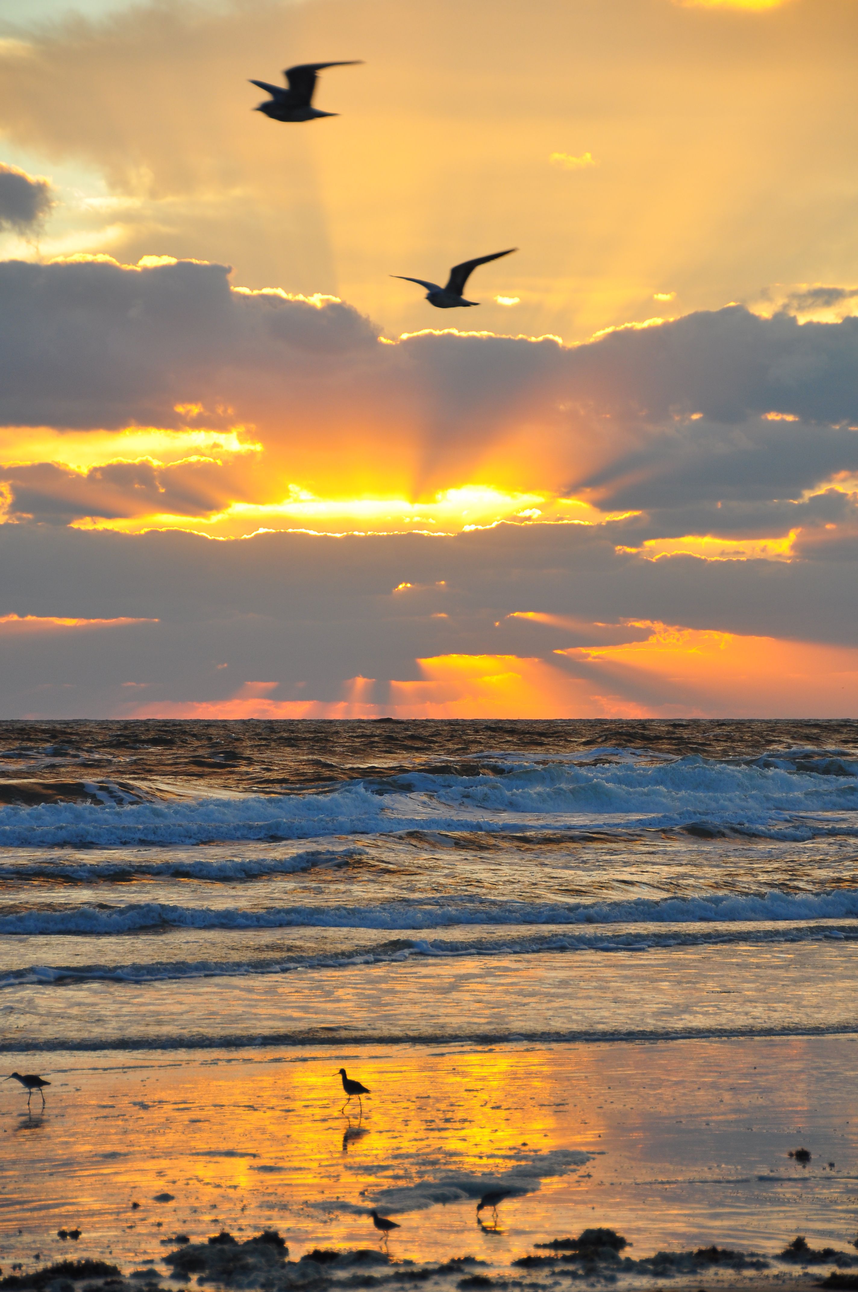 Good Morning Beach Sunrise Images