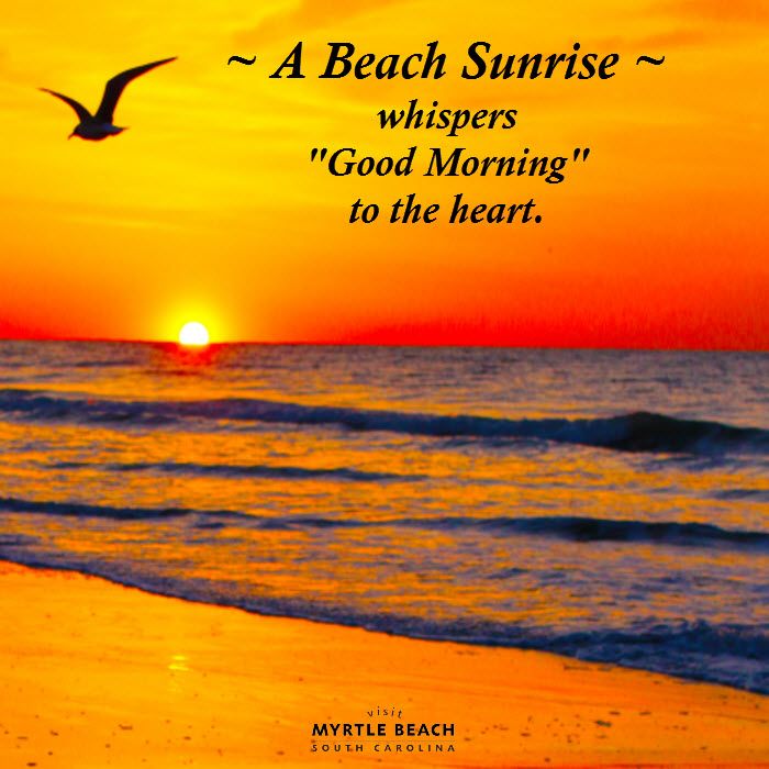 Good Morning Beach Sunrise Images