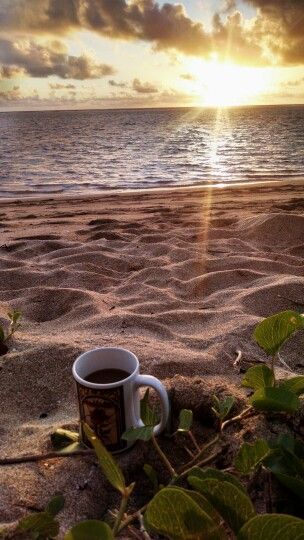 Good Morning Beach Coffee Images
