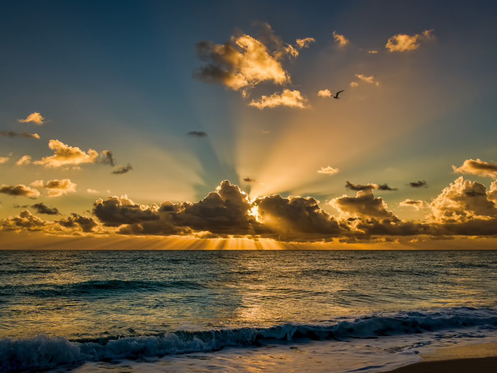 Good Morning Ocean View With Waves