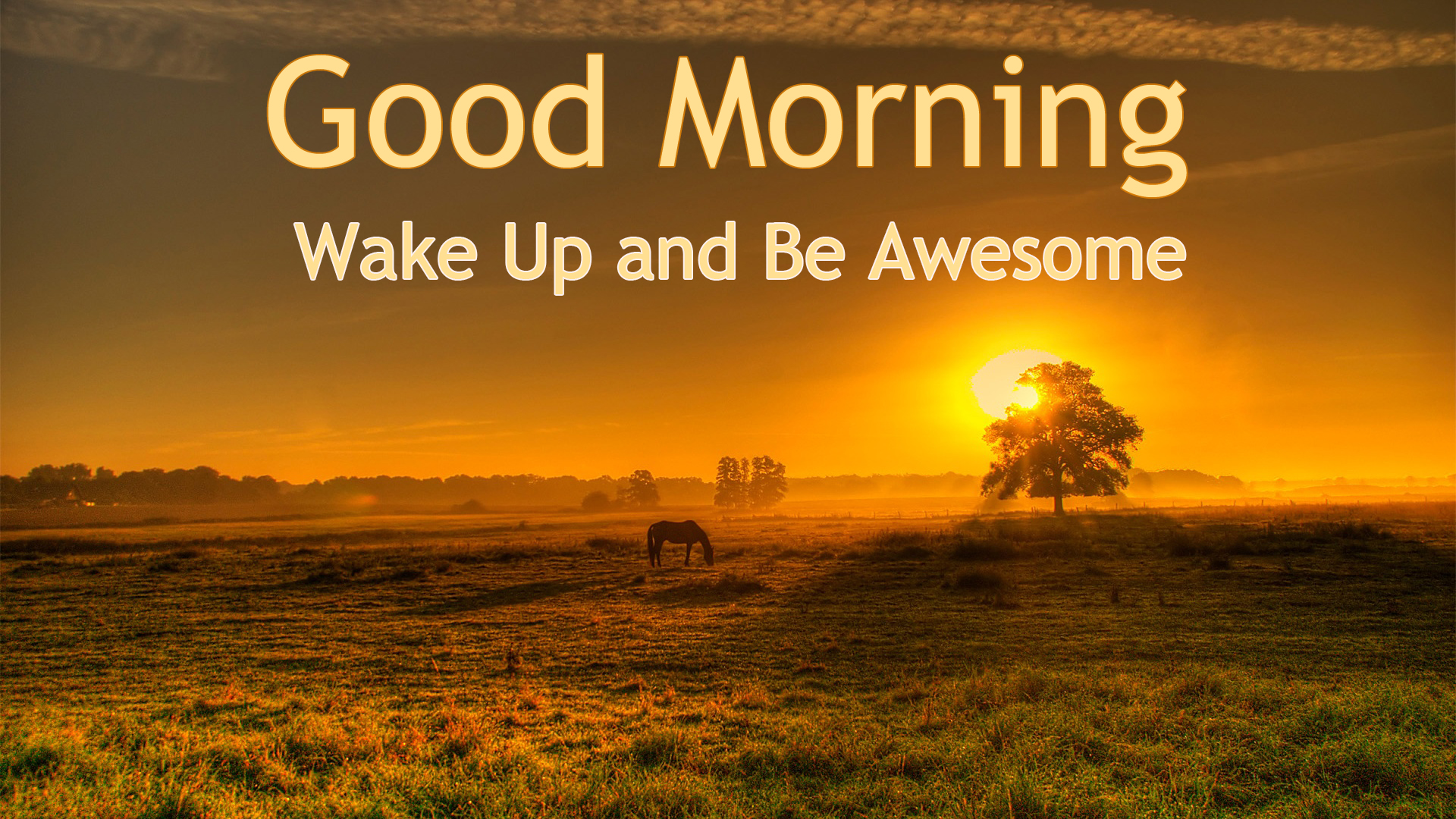 Good Morning Images With Inspirational Quotes HD