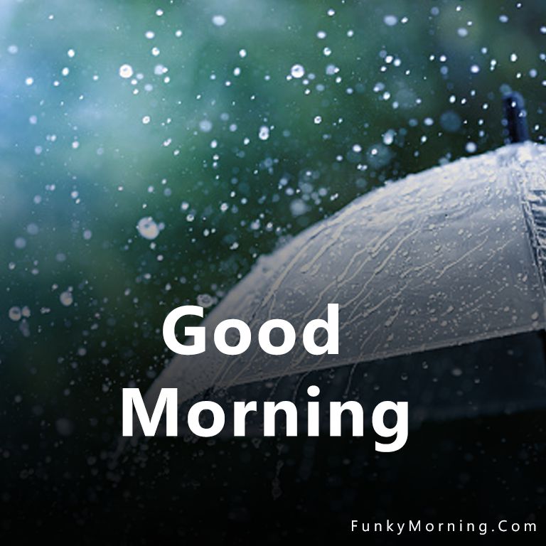 Rainy Good Morning Wishes For WhatsApp