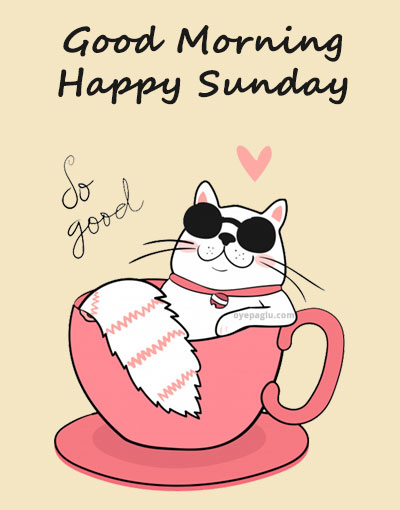 Happy Sunday Good Morning Funny Images
