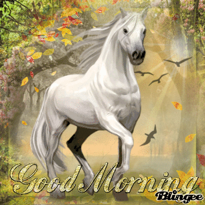 Good Morning Lucky White Horse Images