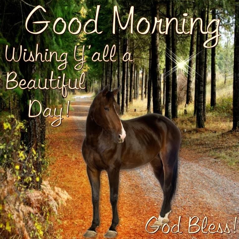 Good Morning Lucky White Horse Images