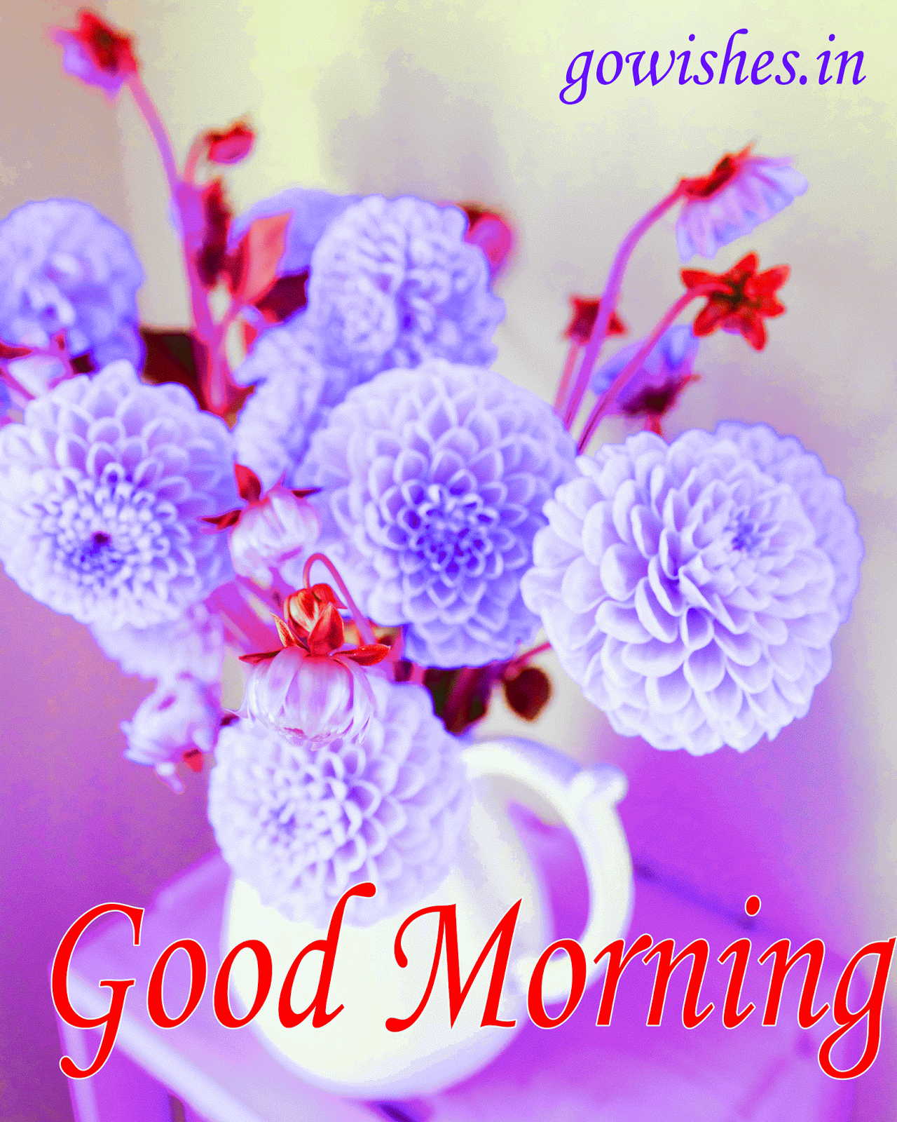 Animated Good Morning Images For Whatsapp
