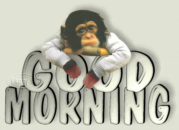 Good Morning Funny GIF Animation Download