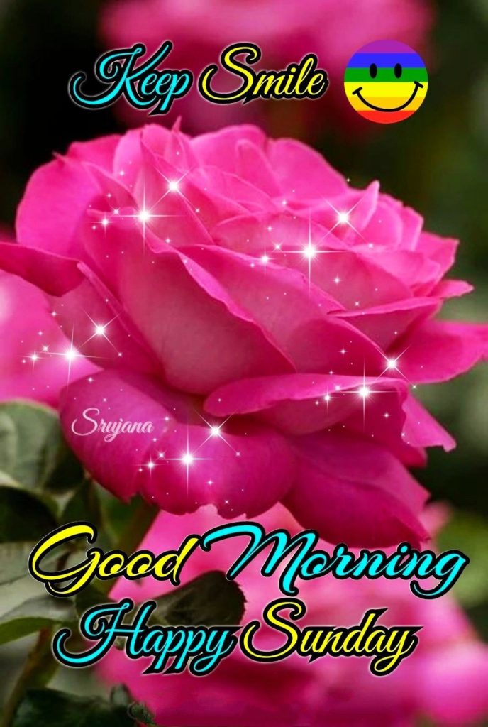 Good Morning Happy Sunday Hd Images