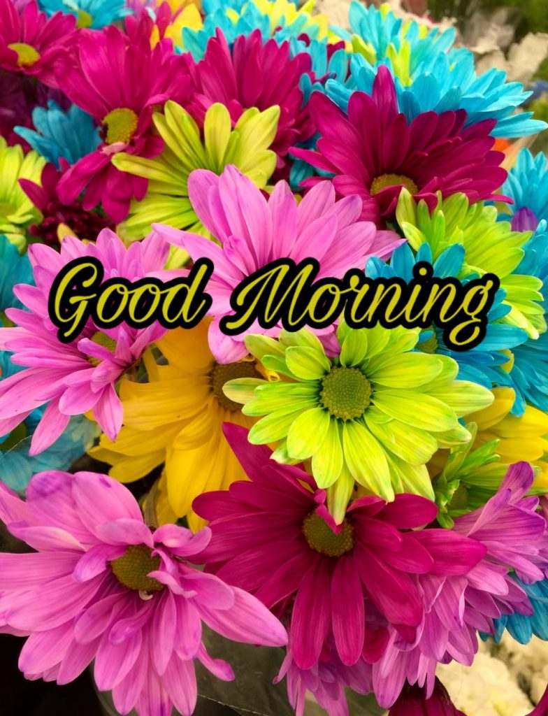 Good Morning Images With Flowers HD