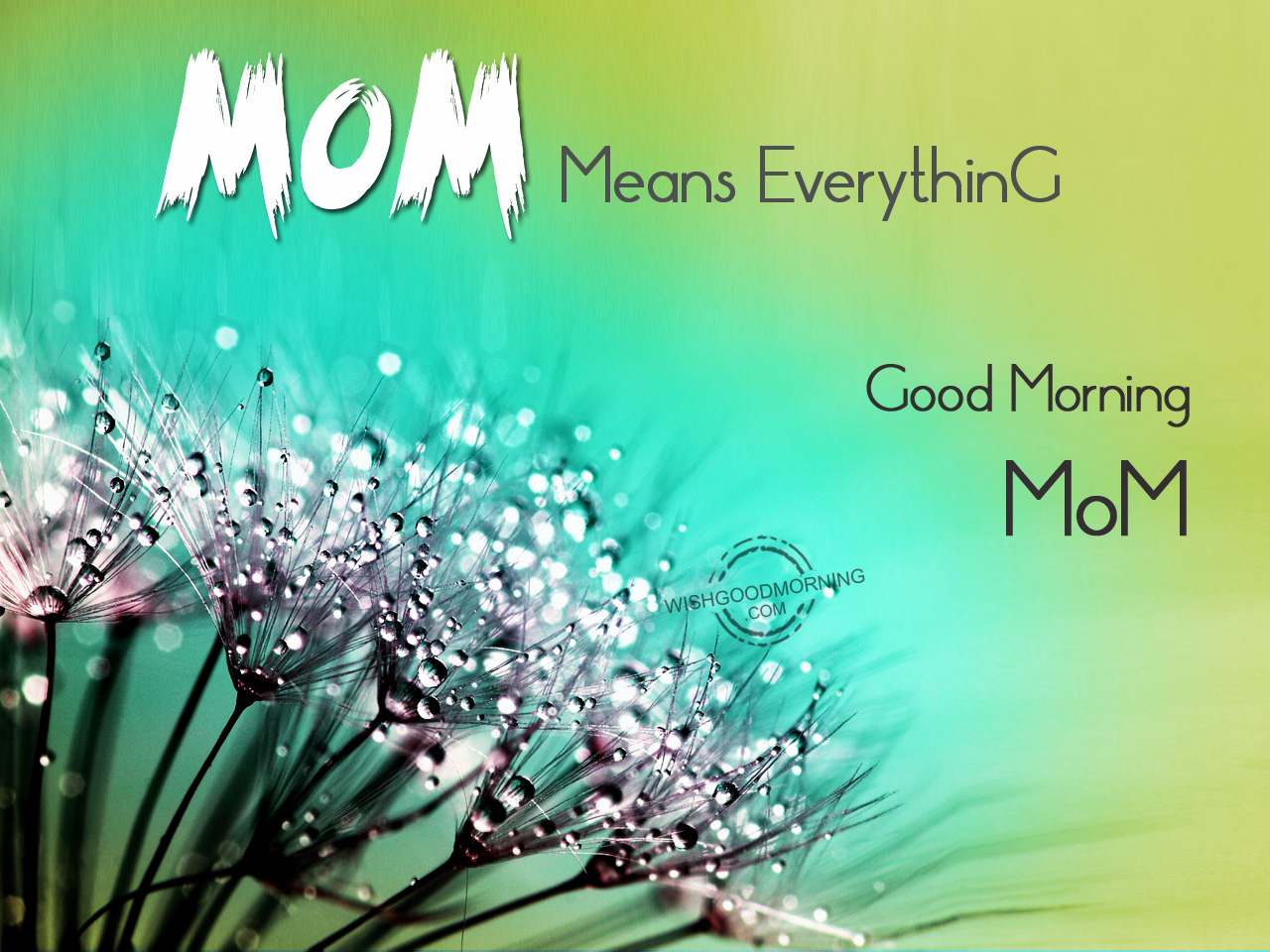 Good Morning Quotes For My Mom