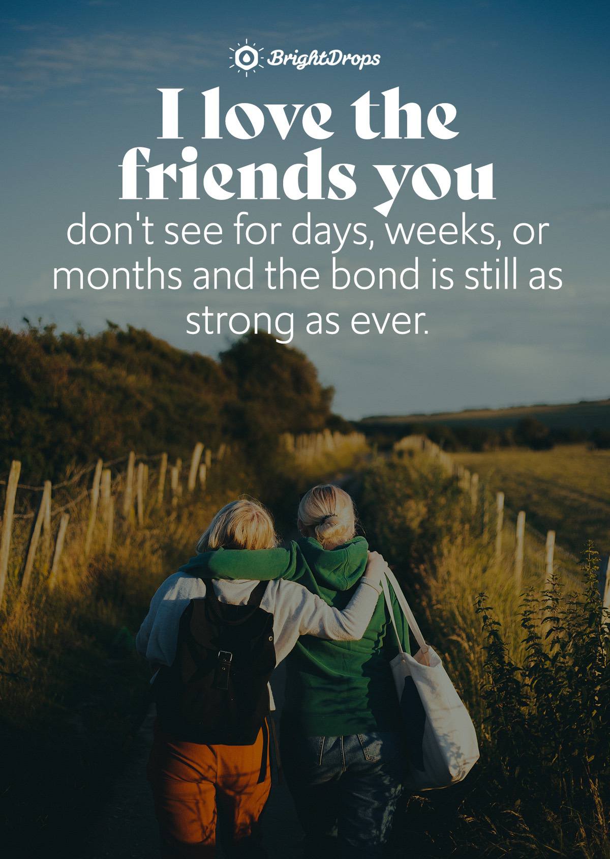 Friendship Day Quotes For Best Friend In English