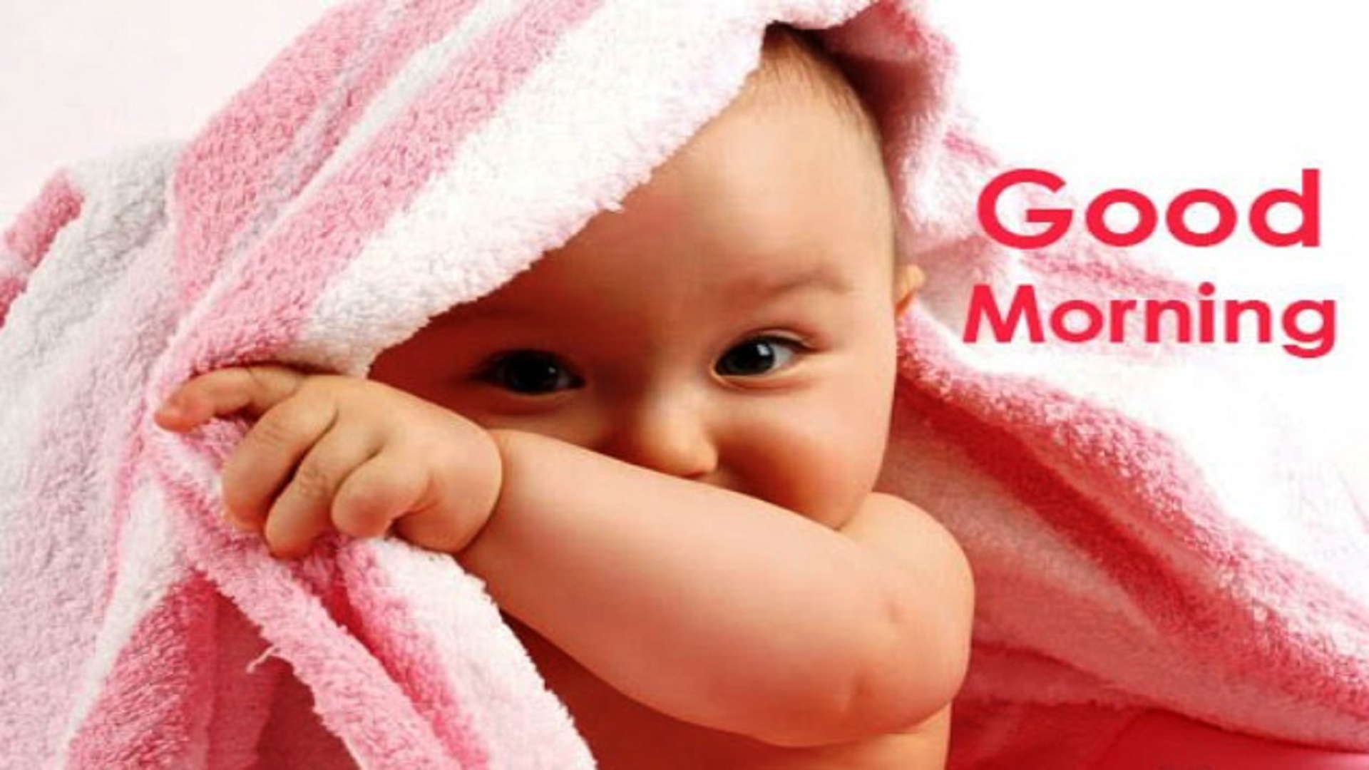 Good Morning Wallpaper Download For WhatsApp