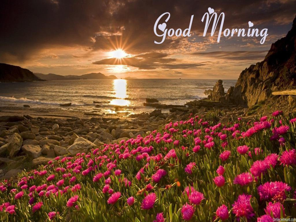 Good Morning Wallpaper HD