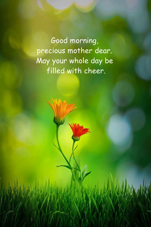 21+ Good Morning Mom Quotes, Good Morning Quotes For Mom