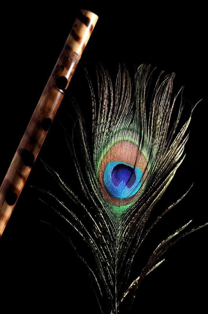 Krishna Flute And Peacock Feather Images