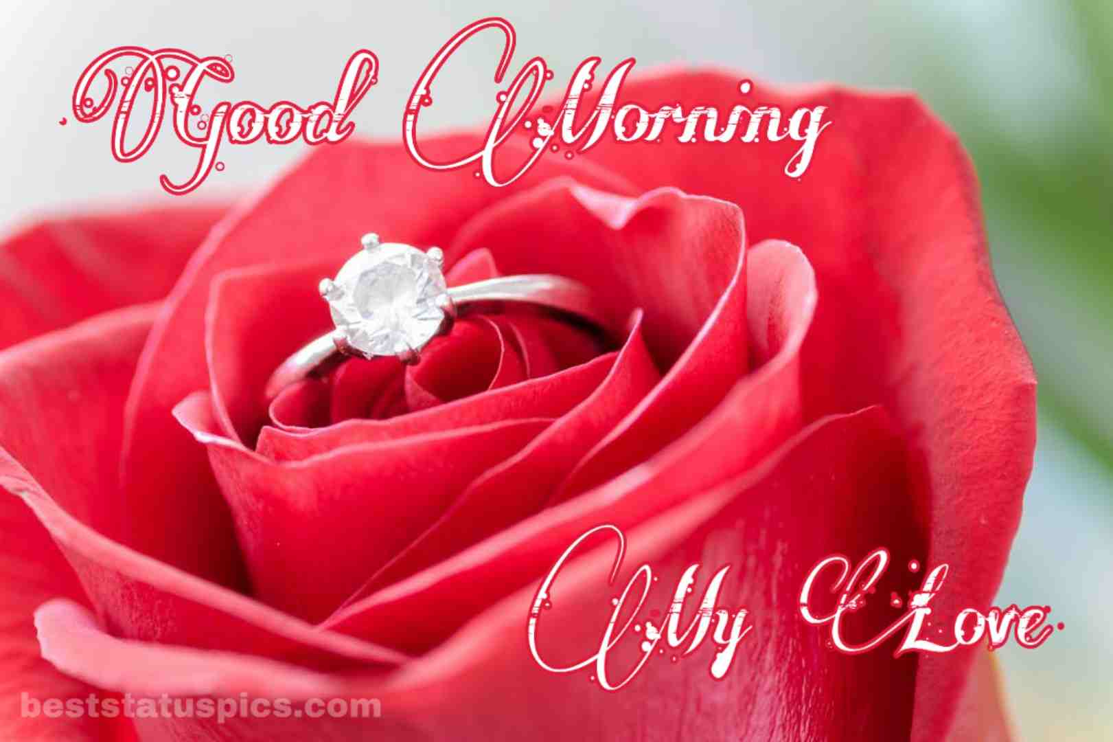 Good Morning Romantic Rose Images