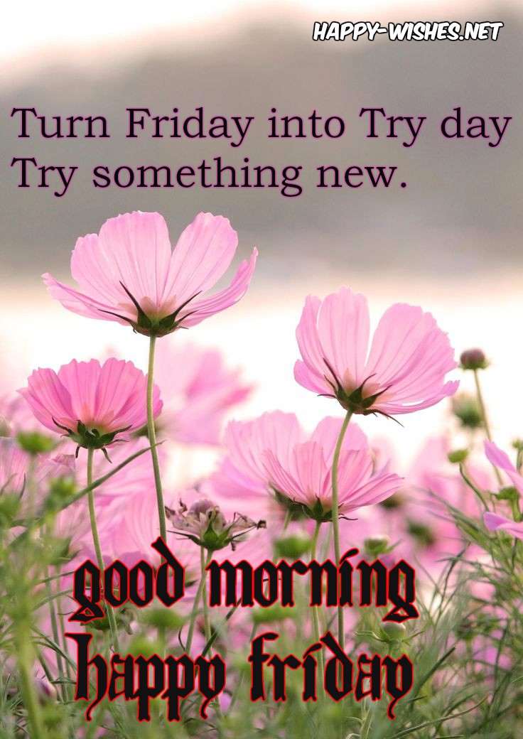 Good Morning Friday Quotes And Wishes