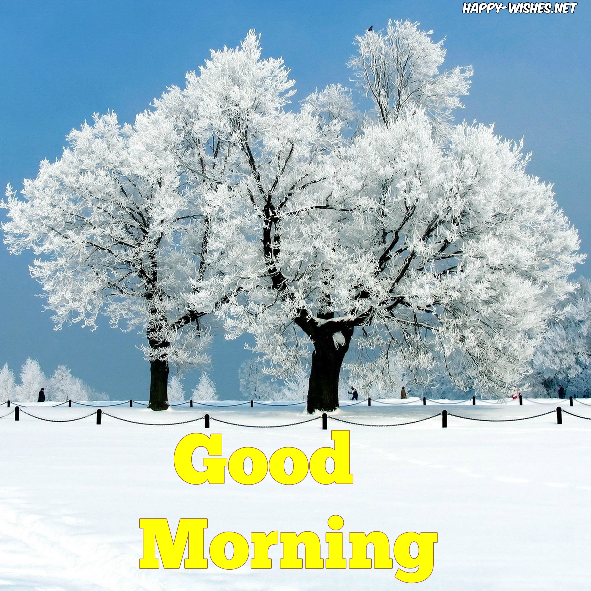 Good Morning Winter Images