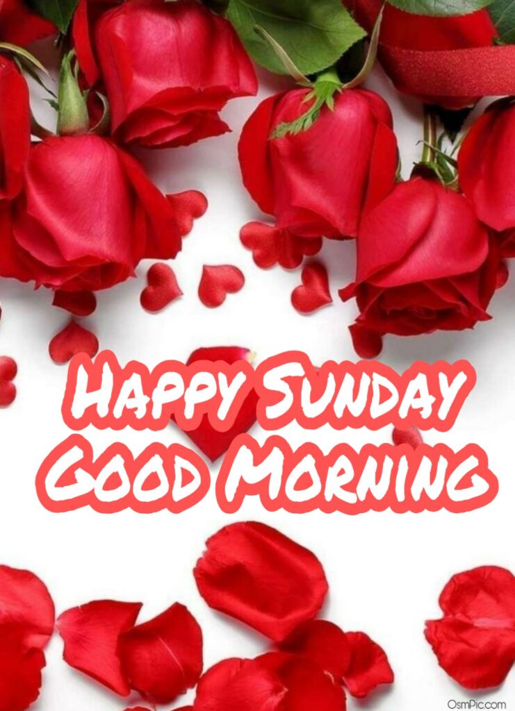 Good Morning Happy Sunday HD Images