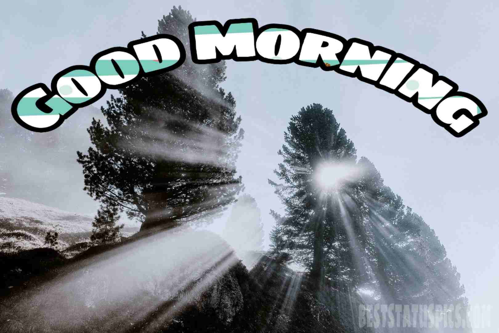 Good Morning Winter Images