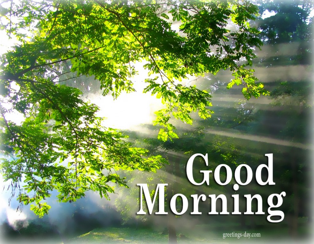 Good Morning Nature Quotes