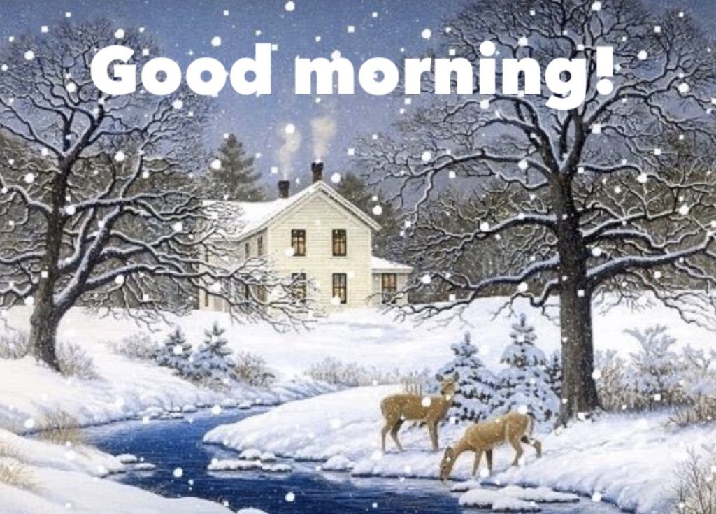 47+ Good Morning Winter Images With Quotes, Winter Snowfall