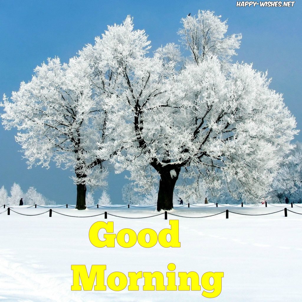 47+ Good Morning Winter Images With Quotes, Winter Snowfall