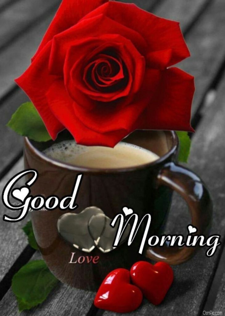 Good Morning Romantic Rose Images