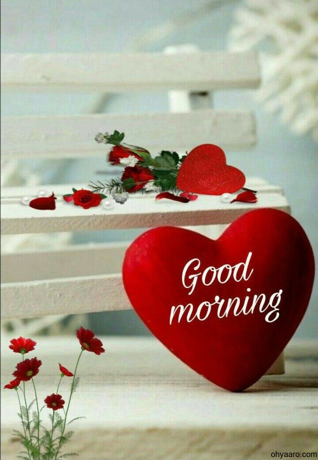 Good Morning Images For Lover